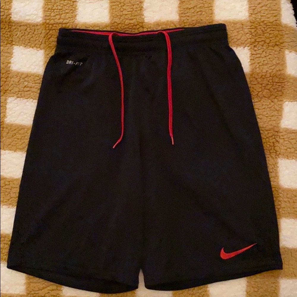 Nike Dri-Fit Shorts / Mens: Medium